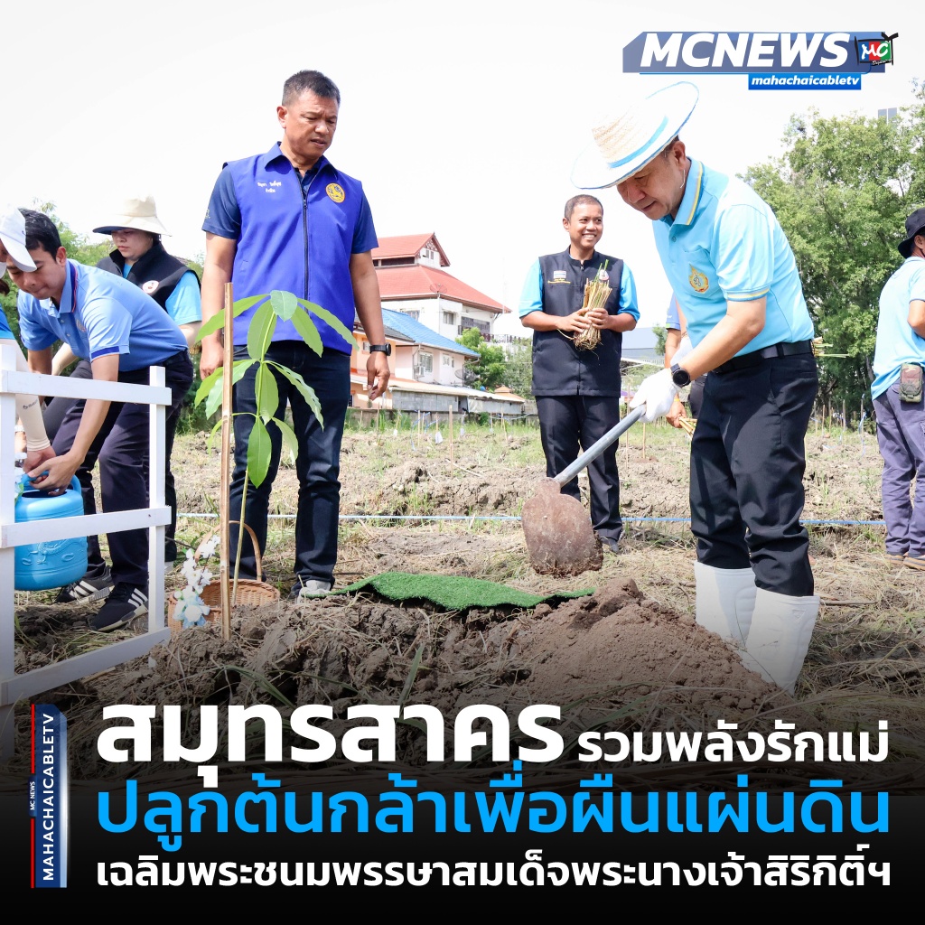ปลูก1 copy