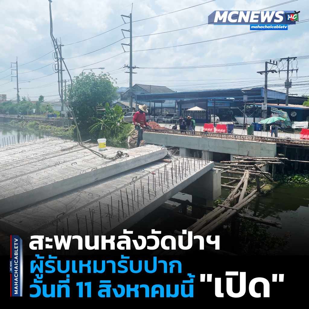 ป่า1 copy