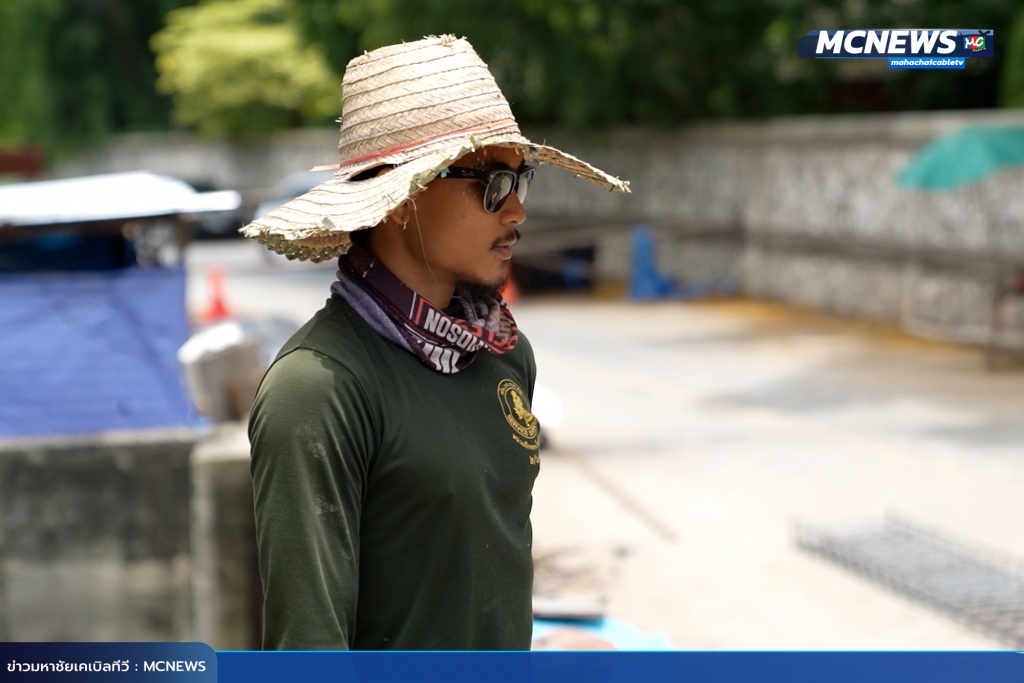 ป่า7 copy