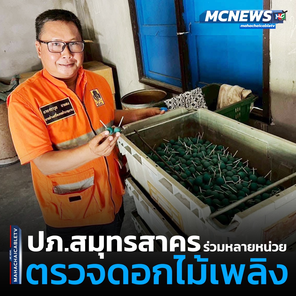 พลุ1 copy