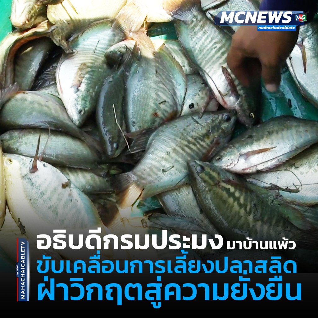 สลิด1 copy